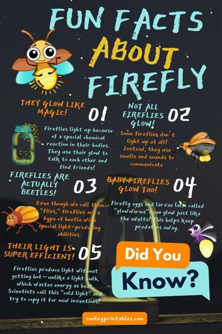 10 Facts on Firefly Lane Actress |