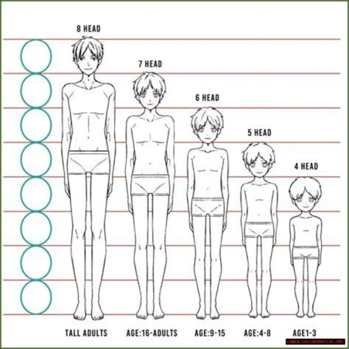 A Comprehensive Wiki Bio, Age, And Height Overview