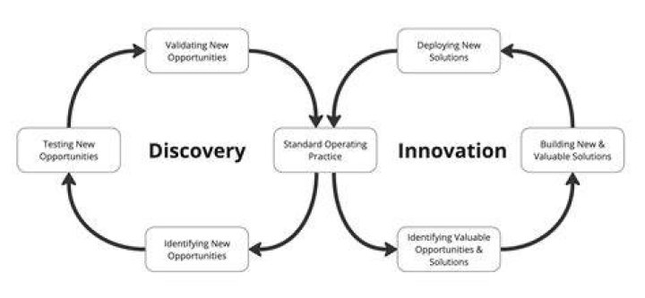A Curatorial Journey Of Discovery And Innovation