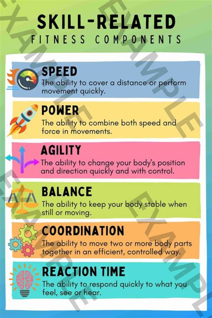 A Journey Of Speed, Skill, And Significance
