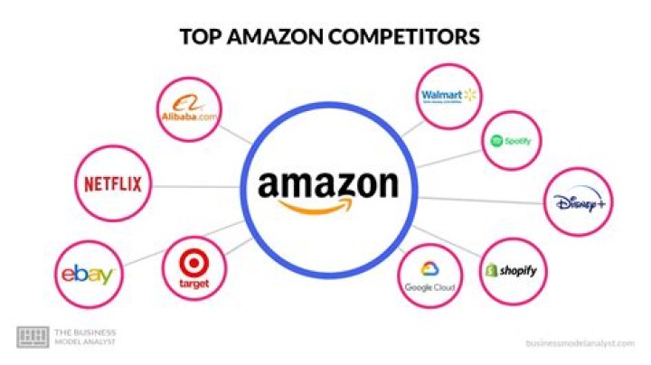 A World Of Exclusive Content And Insights