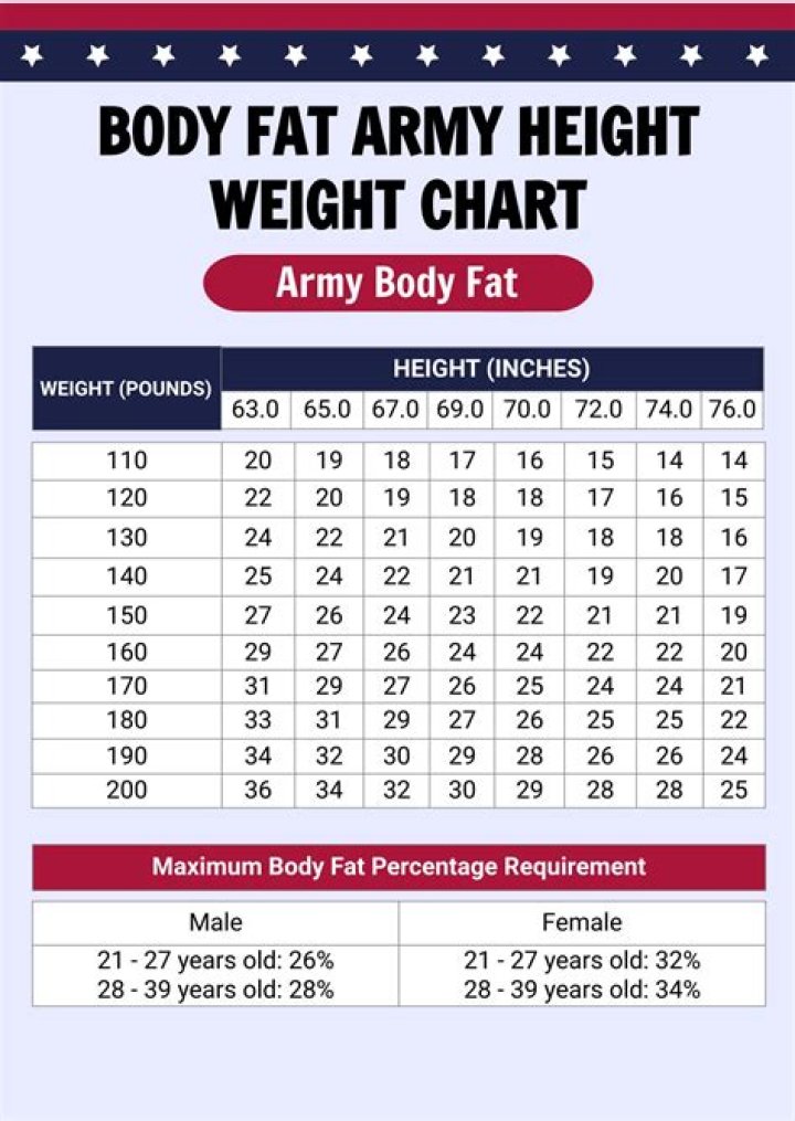 Beyonce's Height, Weight, And Body Composition