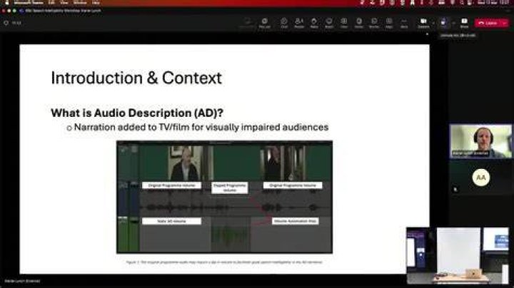 DashVib | AUDIO DESCRIPTION