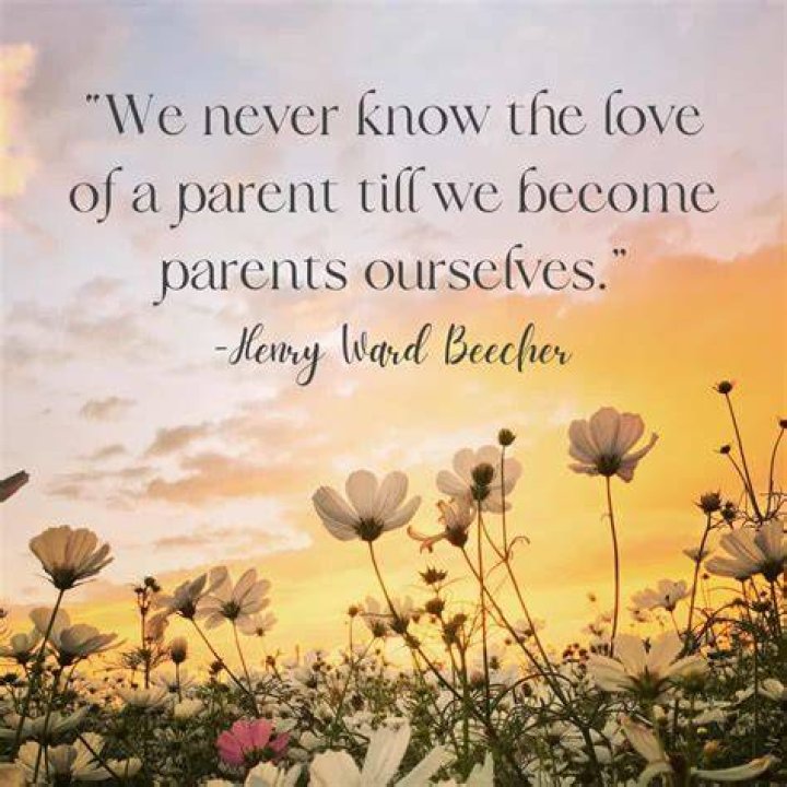 Discover Anne Burrell's Inspiring Journey And Unique Perspective On Parenthood