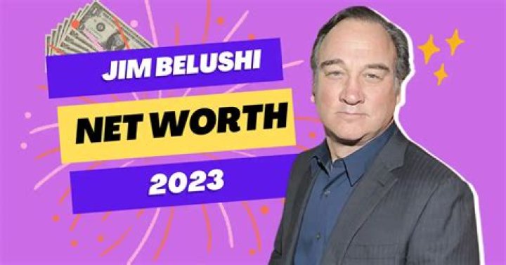 Discover James Belushi's Net Worth And Journey To Success
