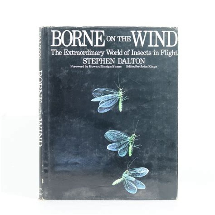 Discover The Extraordinary World Of Vonnie Quinn Bloomberg