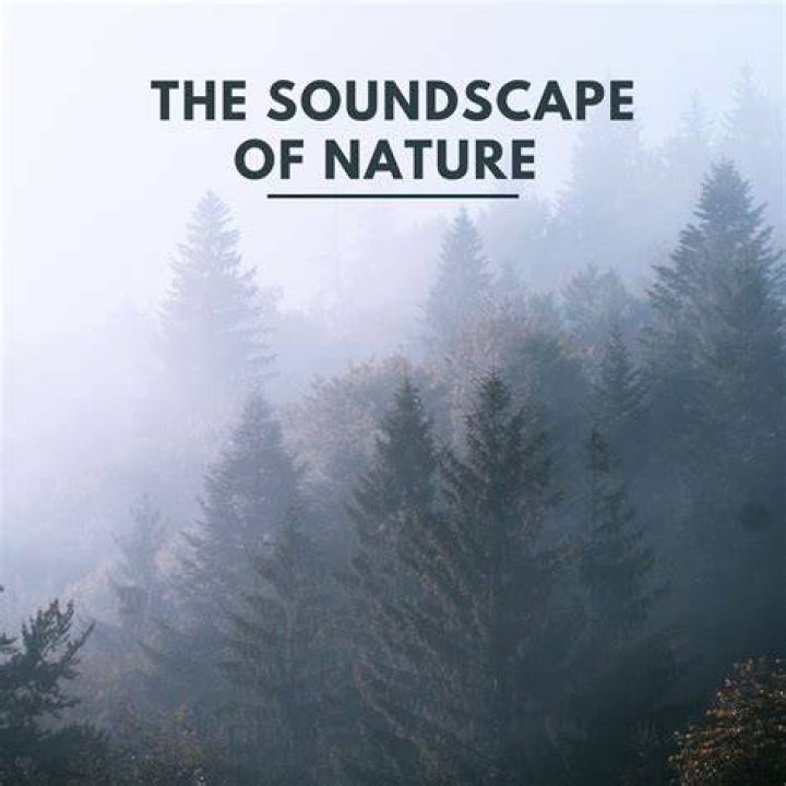 Discover The Uncharted Soundscapes Of Caleb Janway: A Sonic Pioneer