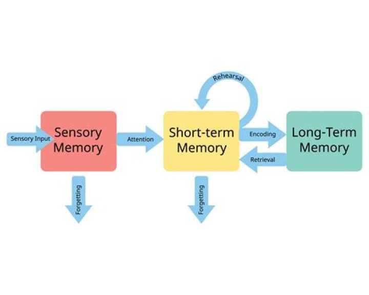 Discover Time, Memory, And Reality