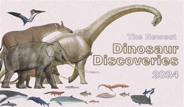 Discoveries And Insights For Lins25