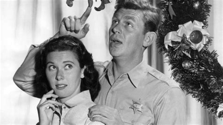 Elinor Donahue – Bio, Spouse, Net Worth, Why Did She Quit Andy Griffith Show?