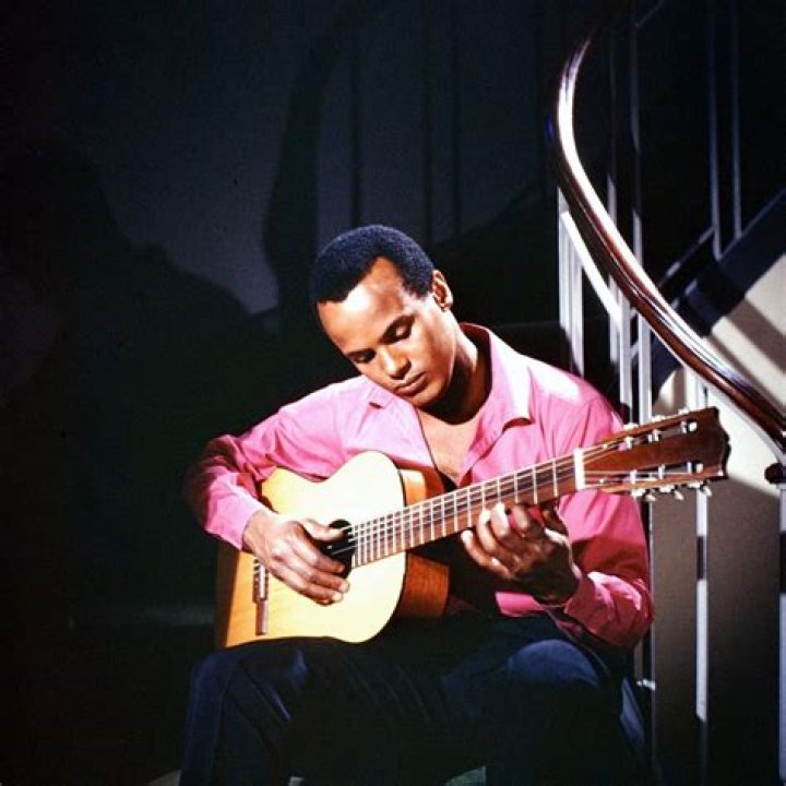 Exploring The Identity Of Harry Belafonte's Son