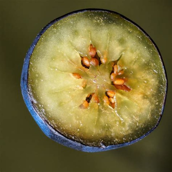 Exploring The Inside Of Blueberries