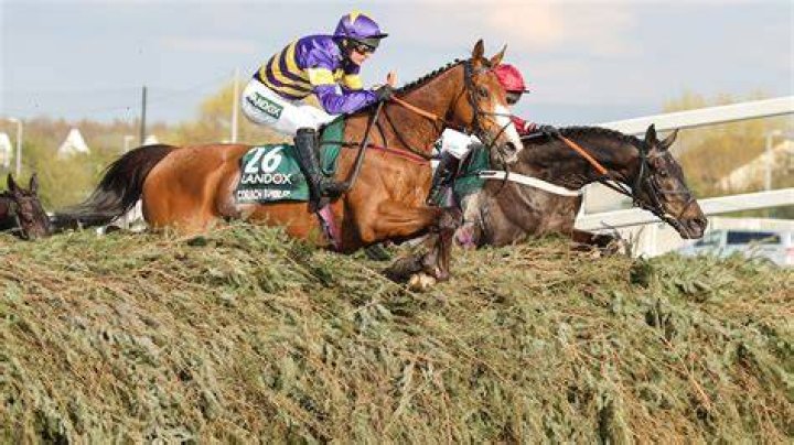 Grand National hero Corach Rambler on 'strict regime' with three-race plan to leave him primed for A