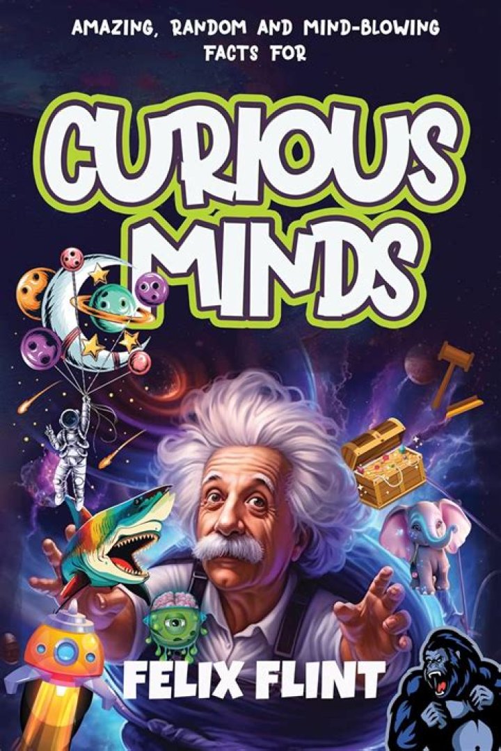 Insights And Revelations For The Curious Mind