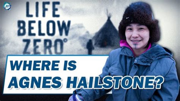 Life Below Zero fans praise Hailstone family for providing the 'true Alaskan experience'