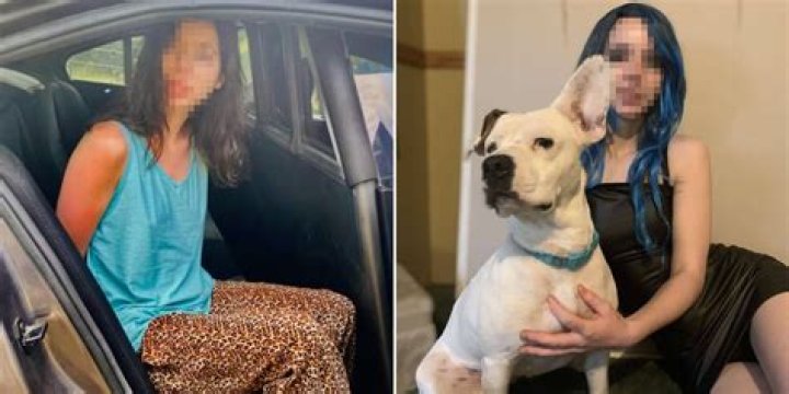 Mississippi Woman Arrested Dog Video: Uncovering The Disturbing Truth