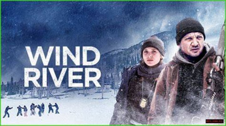 Movies Like Wind River You Should Watch Next | Similar Movies To Wind River