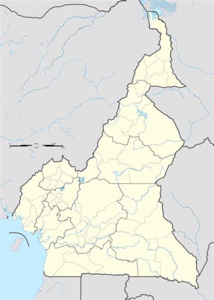 Silvio Mora Wikipedia, Wiki, Biografia, Cameroon
