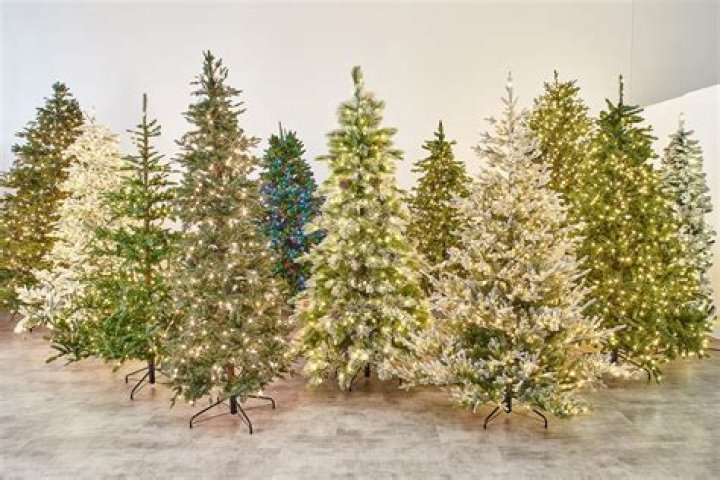 Top-Rated Christmas Tree Lane Altadena: Discover Its Unique Allure