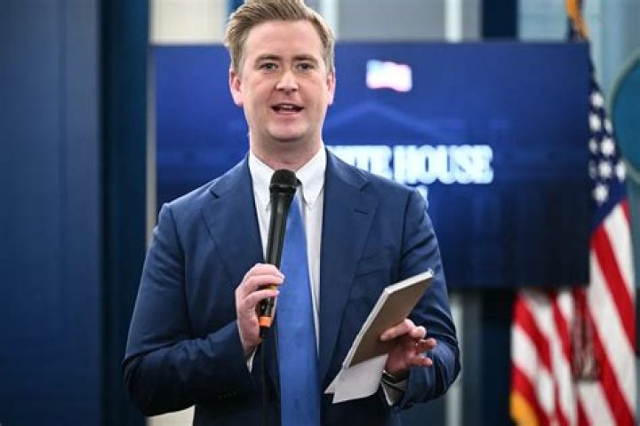 Uncover The Hidden Truths: Peter Doocy's Salary Unveiled
