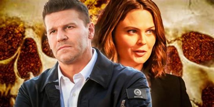 Uncover The Secrets Of David Boreanaz's Net Worth