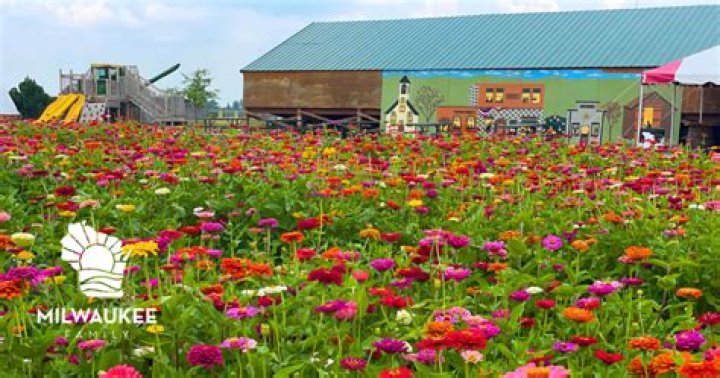 Uncover The Secrets Of Sustainable Farming At Schuster's Farm Deerfield