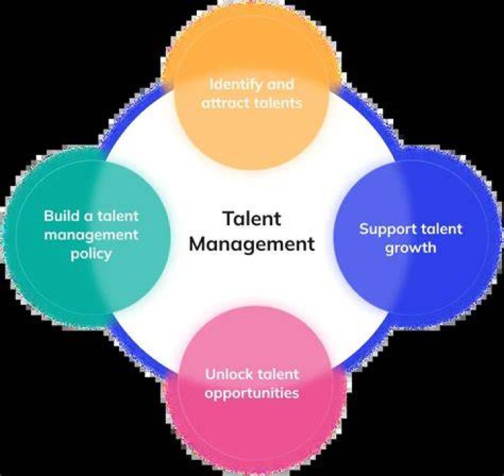 Uncovering The Wealth Behind The Talent