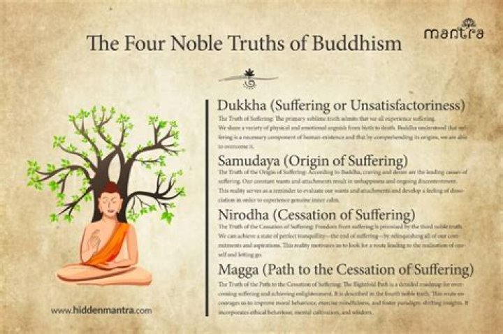 Uncovering Truths And Drawing Insights