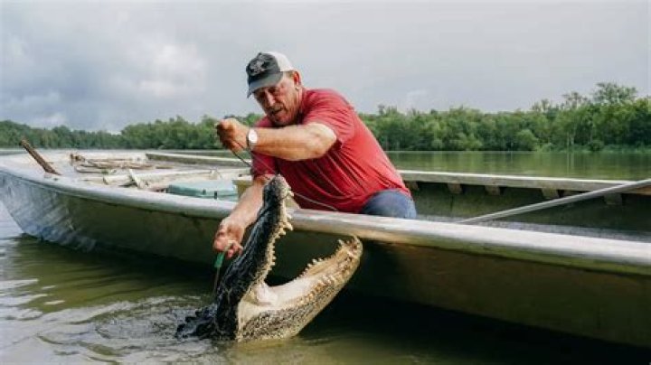 Unlock The Secrets Of Marty Raney's Alligator-Hunting Fortune