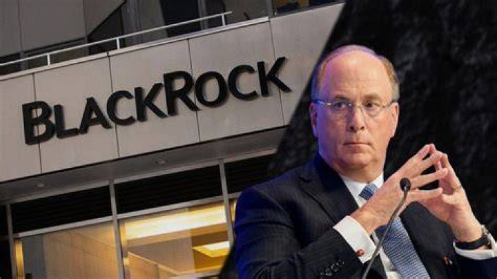 Unlocking The Net Worth Of Blackrock's CEO