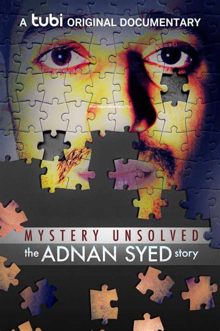 Unraveling The Adnan Syed Wiki: Discoveries And Insights