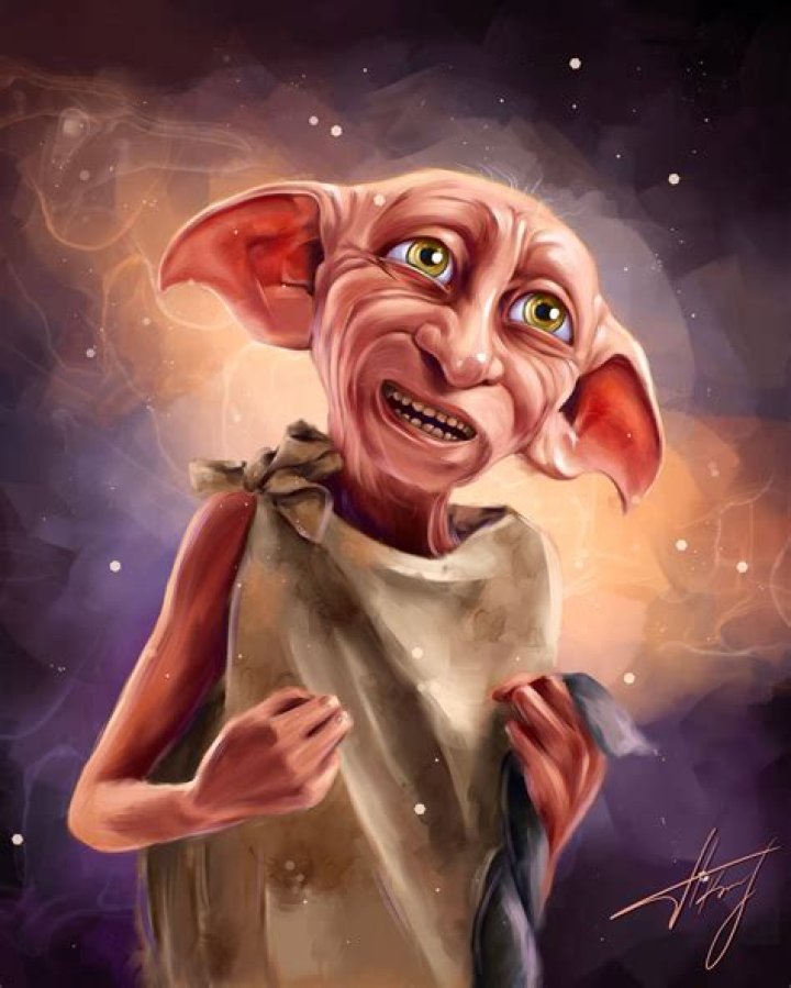 Unraveling The Enchanting World Of Dobby Cats