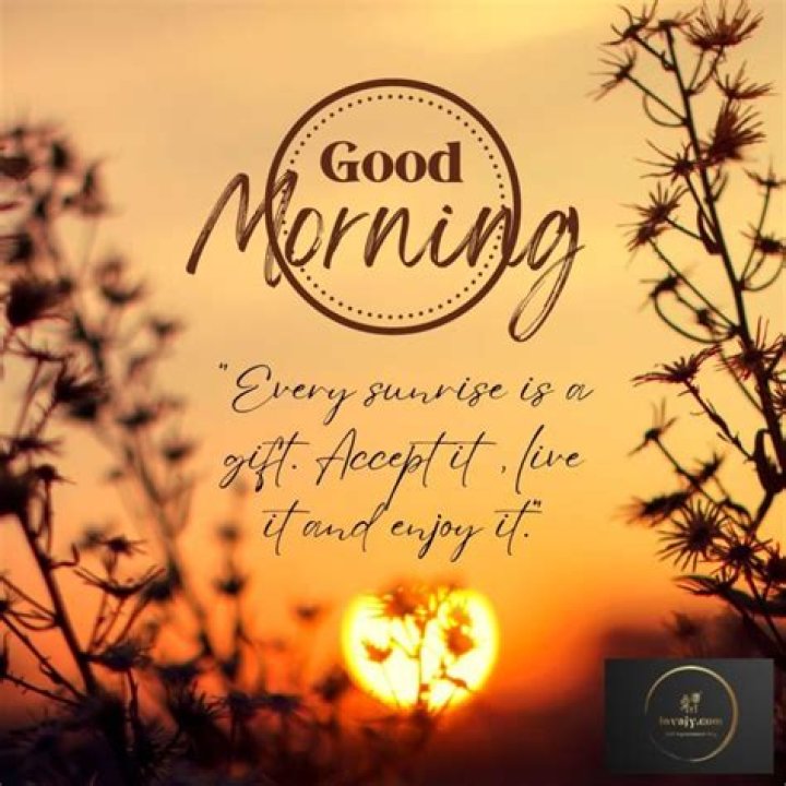 Unveil The Secrets Of Good Morning Memes For Her: A Comprehensive Guide