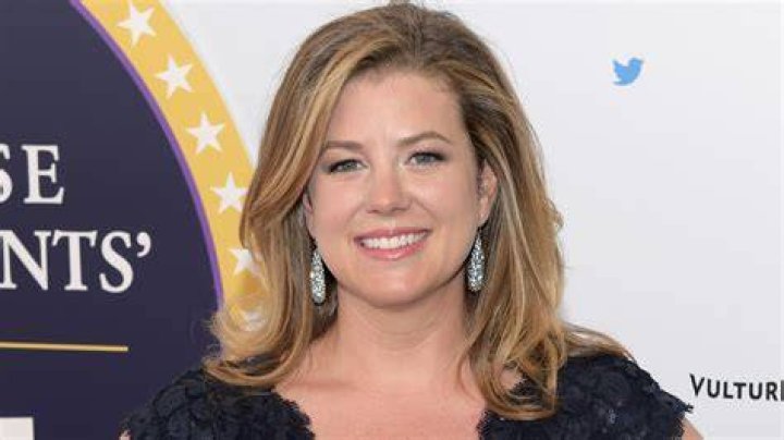 Unveiling Brianna Keilar's Pregnancy Journey: Discoveries And Insights