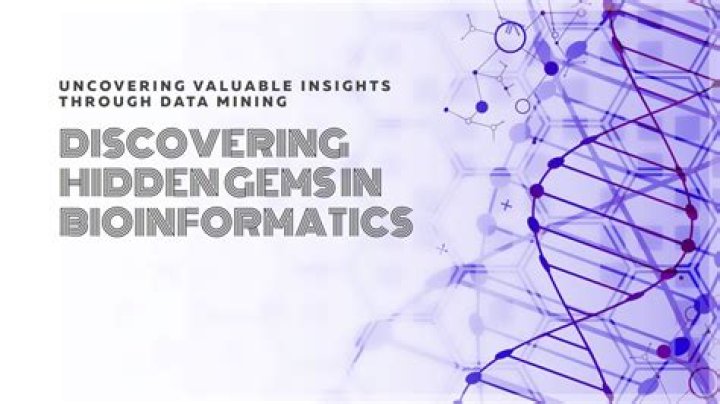Unveiling Hidden Gems And Promising Insights