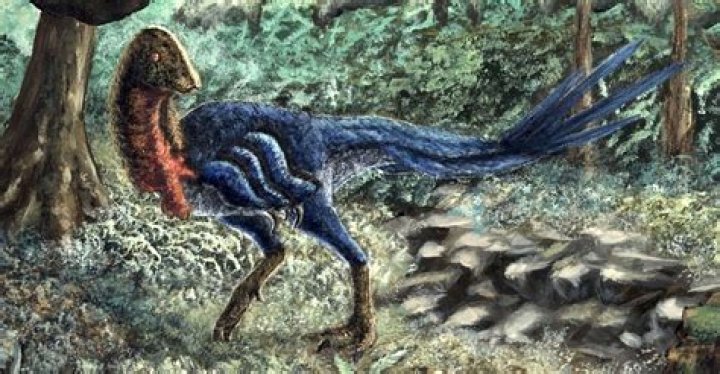 Unveiling Jason Hoppy's New Chapter: Discoveries And Insights