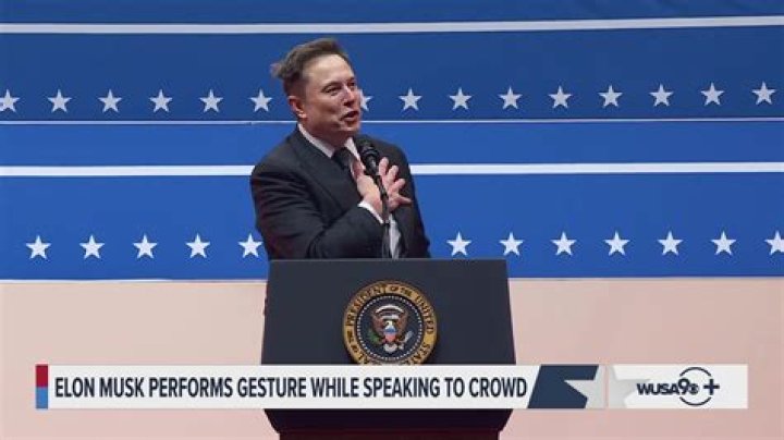 Unveiling The Educational Background Of Elon Musk
