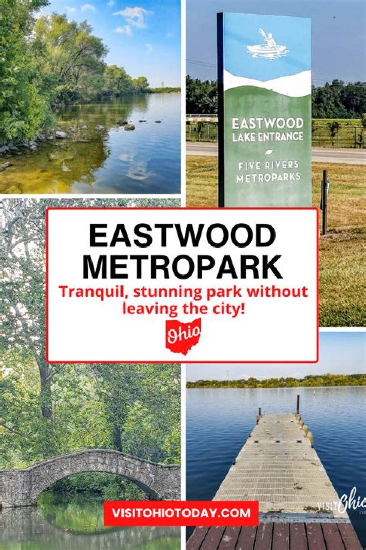 Unveiling The Enigma Of The Missing Eastwood Metropark Boy: Promising Discoveries And Revelations