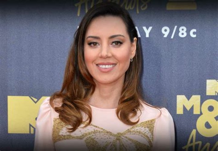 Who Is Aubrey Plaza? Did She Get Plastic Surgery?