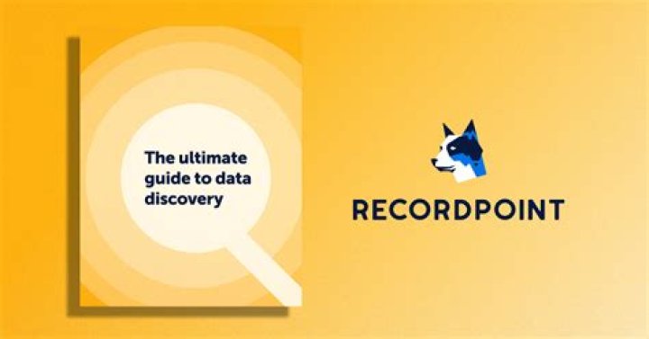 Your Guide To Data Discovery